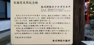 葛飾氷川神社の歴史