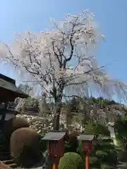 威徳院 極楽寺(栃木県)