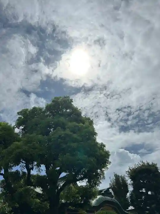 高木神社の自然