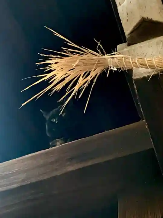 道明寺天満宮の動物