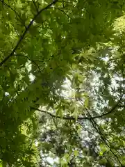 眞田神社(長野県)