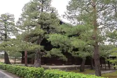 龍源院(京都府)