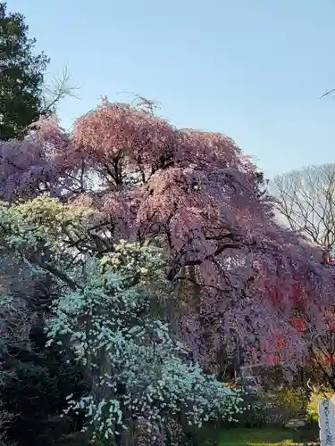 上合寺(福島県)