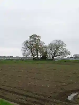神明神社(千葉県)