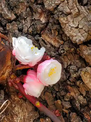 如宝寺(福島県)