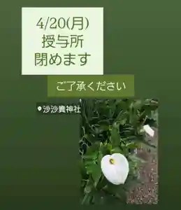 沙沙貴神社(滋賀県)(2026年04月19日(日) 20時45分27秒投稿)