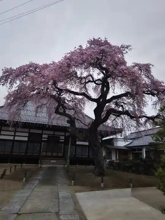相応寺(福島県)