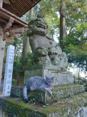 鷲子山上神社(栃木県)