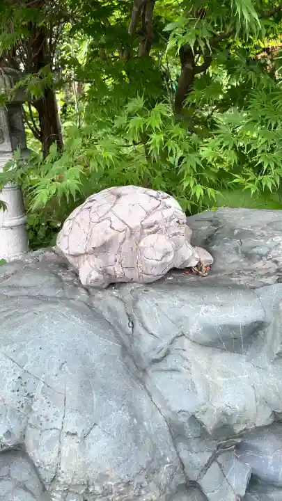 飯生神社(北海道)