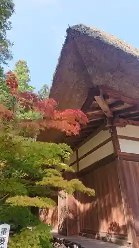 常楽寺の本殿