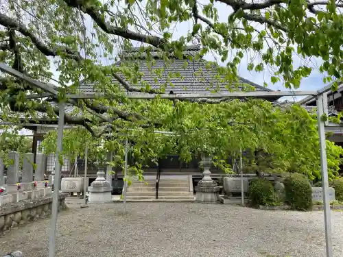大福寺の{uncategorized: "未分類", other: "その他", undefined: "問題あり", building: "その他建物", grave: "お墓", sacred_gate: "鳥居", guardian: "狛犬", statue: "像", buddha: "仏像", history: "歴史", nature: "自然", garden: "庭園", animal: "動物", pagoda: "塔", temizu: "手水舎", mountain_gate: "山門・神門", sanctuary: "本殿・本堂", subordinate: "末社・摂社", art: "芸術", scenery: "景色", jizo: "地蔵", ema: "絵馬", goshuin: "御朱印", omikuji: "おみくじ", items: "授与品その他", amulet: "お守り", goshuincho: "御朱印帳", eats: "食事", festival: "お祭り", votive_dance: "神楽", shichigosan: "七五三参", wedding: "結婚式", experience: "体験その他", initially: "初詣", around: "周辺", anti_infection: "感染症対策"}