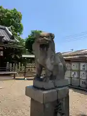 姫嶋神社の狛犬