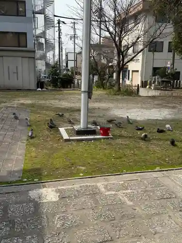 多奈波太神社の動物
