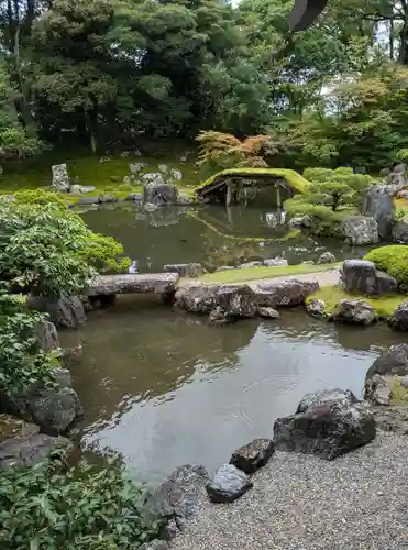三宝院（三宝院門跡）(京都府)