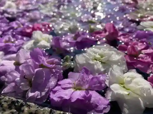 阿邪訶根神社(福島県)