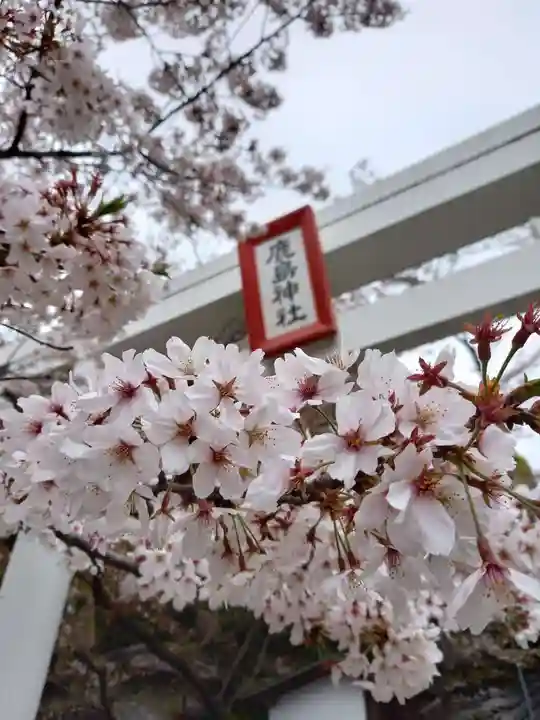 北山鹿島神社の鳥居