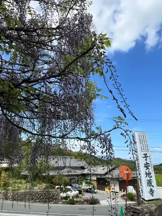子安地蔵寺の{uncategorized: "未分類", other: "その他", undefined: "問題あり", building: "その他建物", grave: "お墓", sacred_gate: "鳥居", guardian: "狛犬", statue: "像", buddha: "仏像", history: "歴史", nature: "自然", garden: "庭園", animal: "動物", pagoda: "塔", temizu: "手水舎", mountain_gate: "山門・神門", sanctuary: "本殿・本堂", subordinate: "末社・摂社", art: "芸術", scenery: "景色", jizo: "地蔵", ema: "絵馬", goshuin: "御朱印", omikuji: "おみくじ", items: "授与品その他", amulet: "お守り", goshuincho: "御朱印帳", eats: "食事", festival: "お祭り", votive_dance: "神楽", shichigosan: "七五三参", wedding: "結婚式", experience: "体験その他", initially: "初詣", around: "周辺", anti_infection: "感染症対策"}