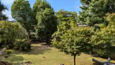 大覚寺(京都府)
