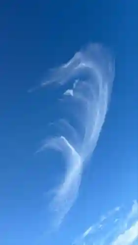 豊国神社(京都府)