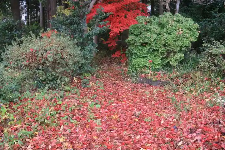 豊景神社の自然