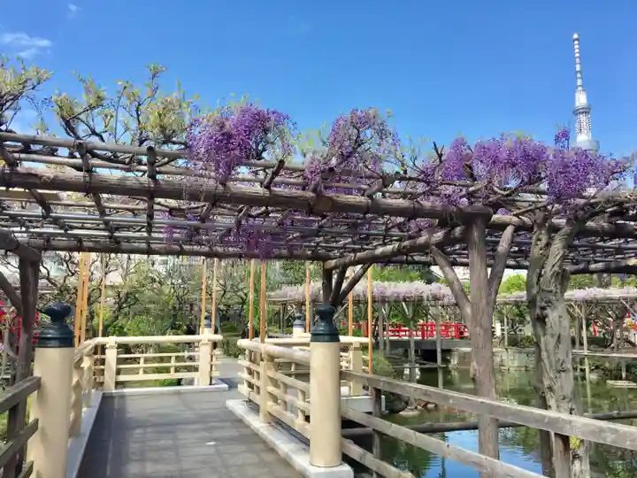 亀戸天神社の庭園