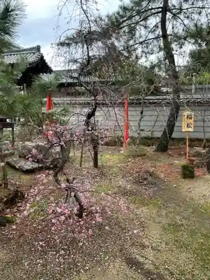 讃岐國分寺(香川県)