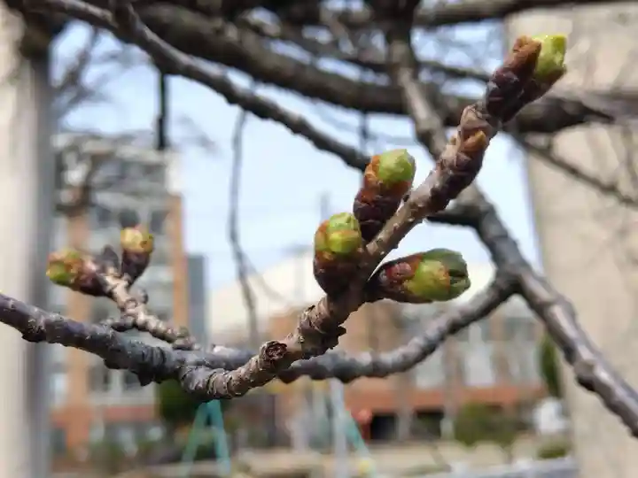 神明神社(福井県)