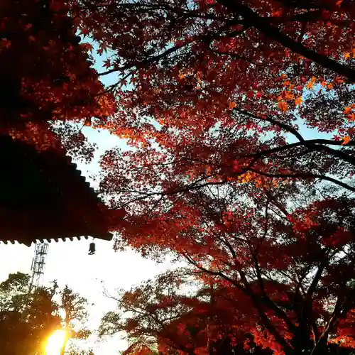 西見寺のその他建物