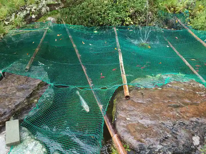 飽波神社(静岡県)