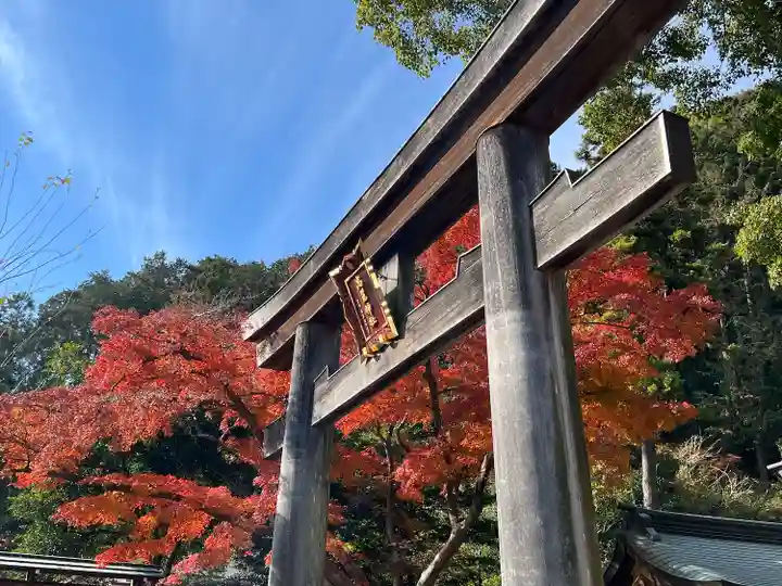 高麗神社(埼玉県)