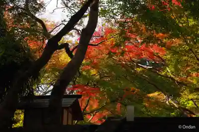談山神社(奈良県)