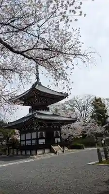 本法寺(京都府)