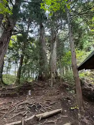 戸隠神社火之御子社(長野県)