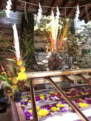 東京大神宮(東京都)