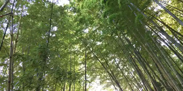 浄妙寺(神奈川県)