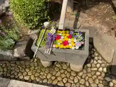 八幡山観音寺(神奈川県)