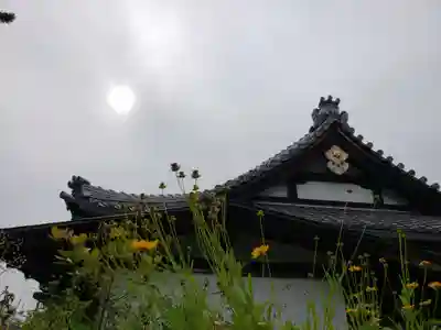 玄国寺のその他建物