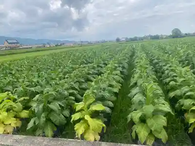 法輪寺(徳島県)