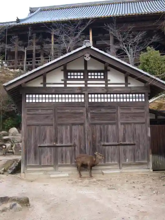 豊国神社 の動物