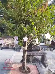 立志神社(滋賀県)