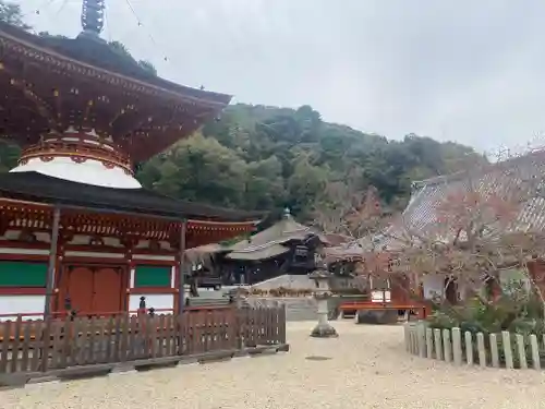 金剛寺(大阪府)