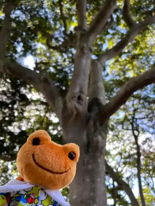 堀出神社(茨城県)