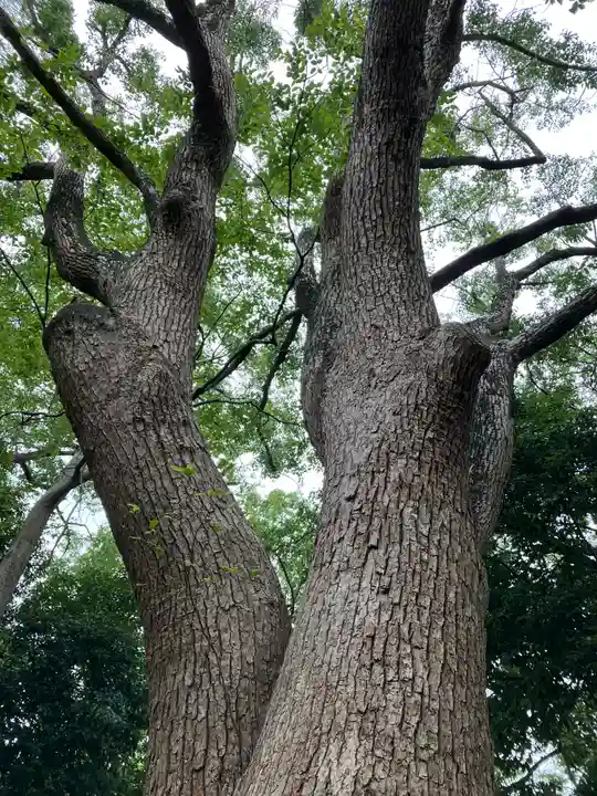 天計神社(岡山県)