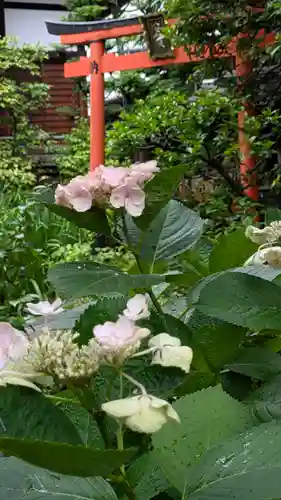 宝蔵寺(京都府)