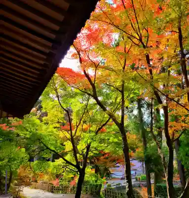 秋葉總本殿可睡斎(静岡県)