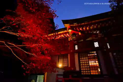大山阿夫利神社(神奈川県)