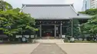 青松寺の本殿・本堂
