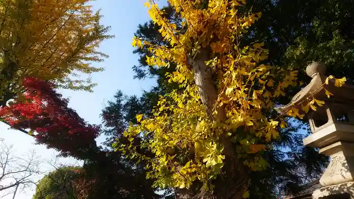 十二所社の自然