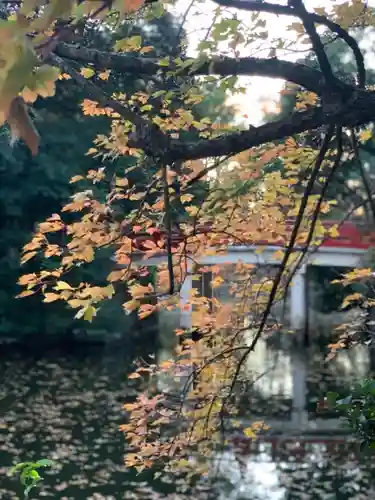 武蔵一宮氷川神社の庭園