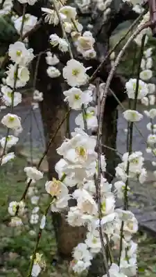 上宮天満宮(大阪府)